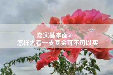 嘉实基本面50 a,
怎样去看一支基金可不可以买