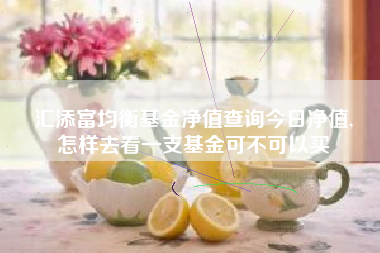 汇添富均衡基金净值查询今日净值,
怎样去看一支基金可不可以买