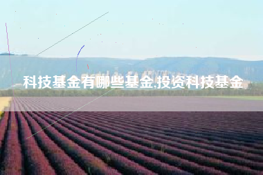 科技基金有哪些基金,投资科技基金