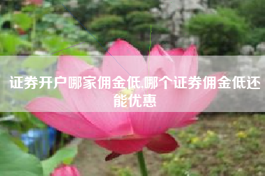 证券开户哪家佣金低,哪个证券佣金低还能优惠