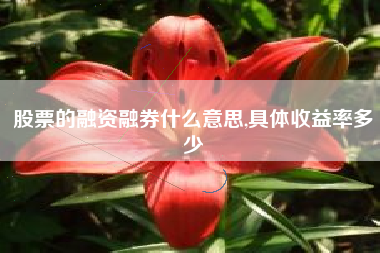 股票的融资融券什么意思,具体收益率多少