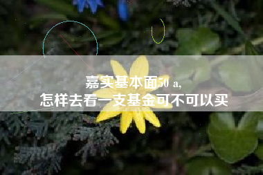 嘉实基本面50 a,
怎样去看一支基金可不可以买
