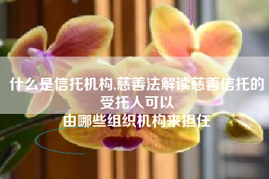 什么是信托机构,慈善法解读慈善信托的受托人可以
由哪些组织机构来担任 什么是信托机构,慈善法解读慈善信托的受托人可以
由哪些组织机构来担任