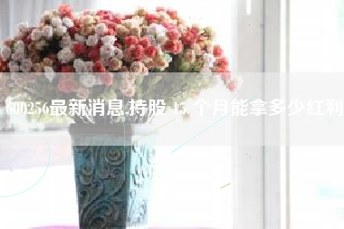 600256最新消息,持股 15 个月能拿多少红利