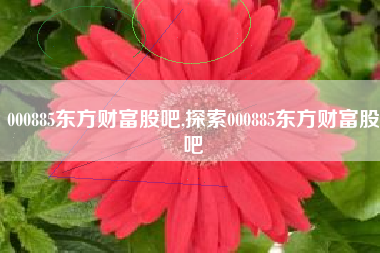 000885东方财富股吧,探索000885东方财富股吧