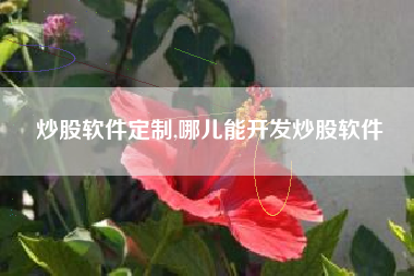 炒股软件定制,哪儿能开发炒股软件