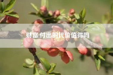 财富,付出的代价值得吗