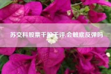 苏交科股票千股千评,会触底反弹吗