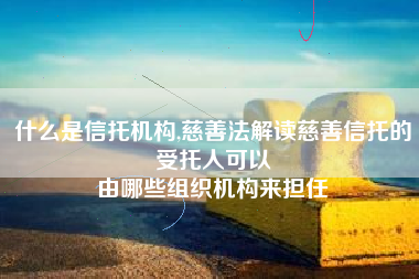 什么是信托机构,慈善法解读慈善信托的受托人可以
由哪些组织机构来担任 什么是信托机构,慈善法解读慈善信托的受托人可以
由哪些组织机构来担任