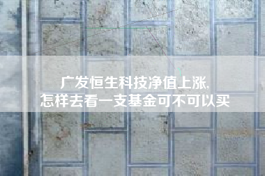 广发恒生科技净值上涨,
怎样去看一支基金可不可以买