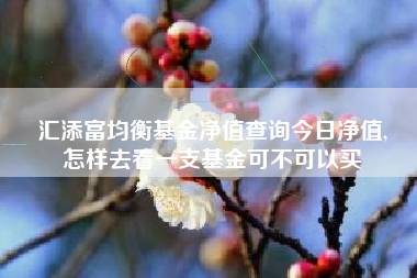 汇添富均衡基金净值查询今日净值,
怎样去看一支基金可不可以买