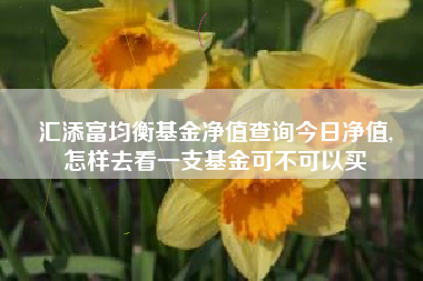 汇添富均衡基金净值查询今日净值,
怎样去看一支基金可不可以买