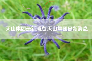 天山集团最新消息,天山集团最新消息