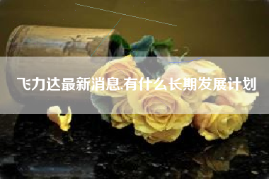 飞力达最新消息,有什么长期发展计划