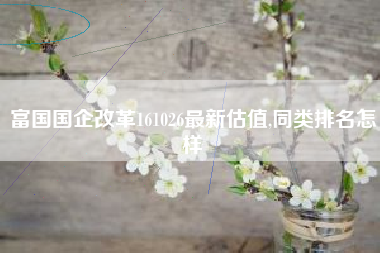 富国国企改革161026最新估值,同类排名怎样