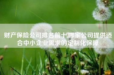 财产保险公司排名前十,哪家公司提供适合中小企业需求的定制化保障