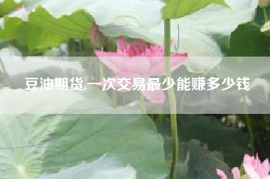 豆油期货,一次交易最少能赚多少钱