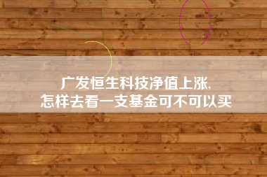 广发恒生科技净值上涨,
怎样去看一支基金可不可以买