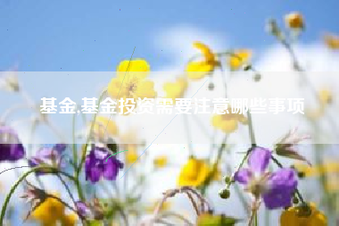 基金,基金投资需要注意哪些事项