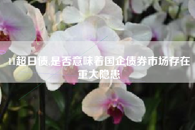 11超日债,是否意味着国企债券市场存在重大隐患