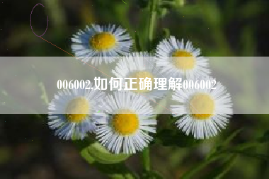 006002,如何正确理解006002