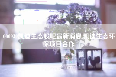 000939凯迪生态股吧最新消息,凯迪生态环保项目合作