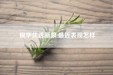 银华优选新浪,最近表现怎样