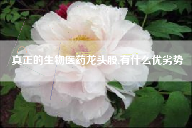 真正的生物医药龙头股,有什么优劣势