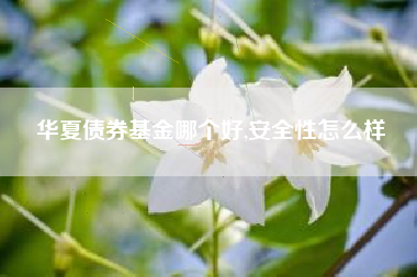 华夏债券基金哪个好,安全性怎么样