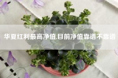 华夏红利最高净值,目前净值靠谱不靠谱