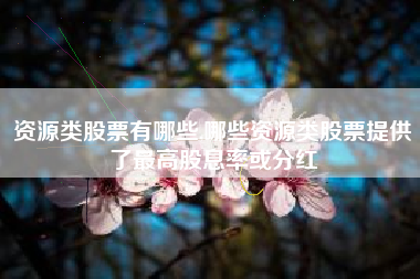 资源类股票有哪些,哪些资源类股票提供了最高股息率或分红