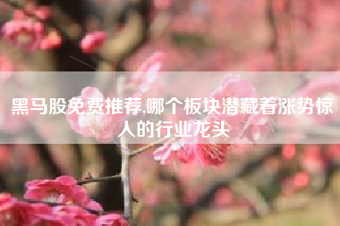 黑马股免费推荐,哪个板块潜藏着涨势惊人的行业龙头