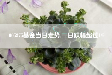 005875基金当日走势,一日跌幅超过1%