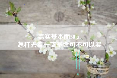 嘉实基本面50 a,
怎样去看一支基金可不可以买