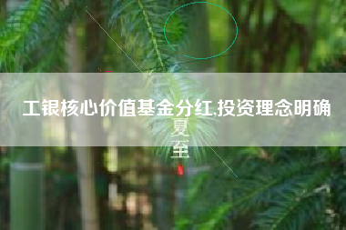 工银核心价值基金分红,投资理念明确