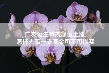 广发恒生科技净值上涨,
怎样去看一支基金可不可以买