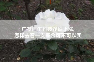 广发恒生科技净值上涨,
怎样去看一支基金可不可以买