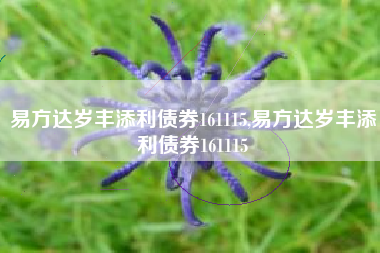 易方达岁丰添利债券161115,易方达岁丰添利债券161115