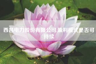 西昌电力股份有限公司,盈利模式是否可持续