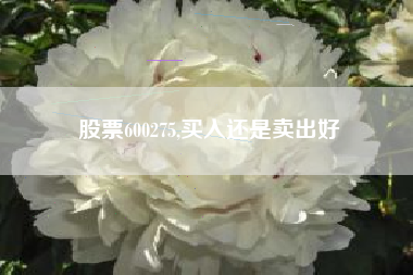 股票600275,买入还是卖出好