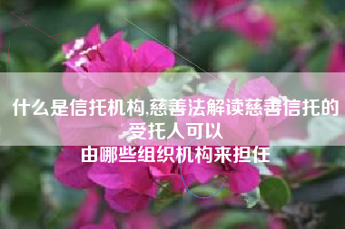 什么是信托机构,慈善法解读慈善信托的受托人可以
由哪些组织机构来担任 什么是信托机构,慈善法解读慈善信托的受托人可以
由哪些组织机构来担任