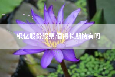 银亿股份股票,值得长期持有吗