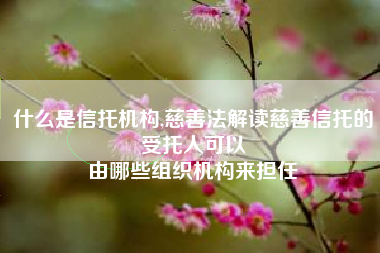什么是信托机构,慈善法解读慈善信托的受托人可以
由哪些组织机构来担任 什么是信托机构,慈善法解读慈善信托的受托人可以
由哪些组织机构来担任