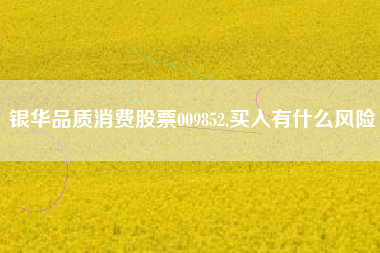 银华品质消费股票009852,买入有什么风险
