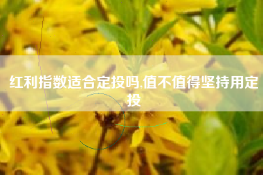 红利指数适合定投吗,值不值得坚持用定投