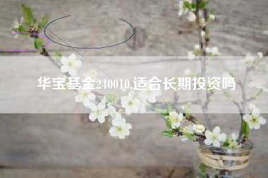 华宝基金240010,适合长期投资吗