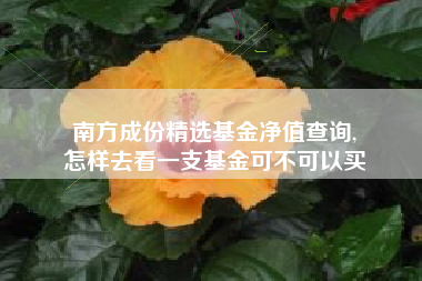 南方成份精选基金净值查询,
怎样去看一支基金可不可以买
