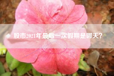 股市2021年最后一次假期是哪天？