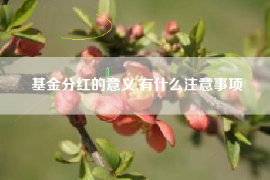 基金分红的意义,有什么注意事项