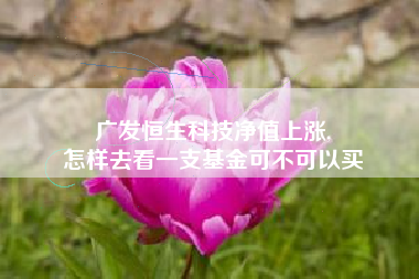 广发恒生科技净值上涨,
怎样去看一支基金可不可以买